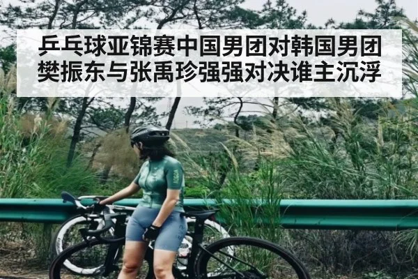 乒乓球亚锦赛中国男团对韩国男团樊振东与张禹珍强强对决谁主沉浮 | kaiyun